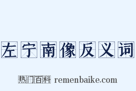 左宁南像反义词是什么意思的图片